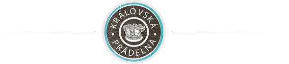 Primary Raster logo